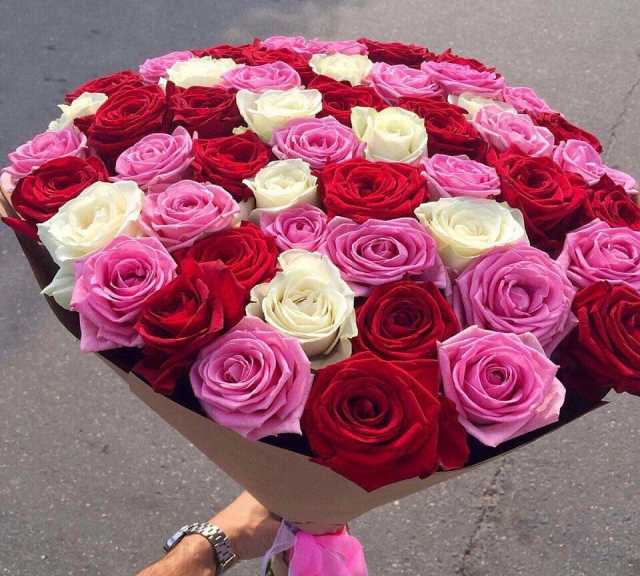 Продам: Розы/Цветы/Букет из 51 эквадорской розы/