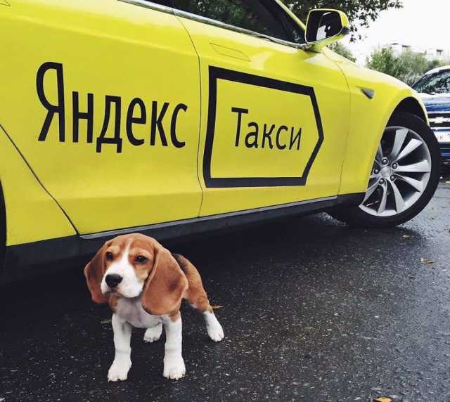 Вакансия: Водитель Яндекс. Такси