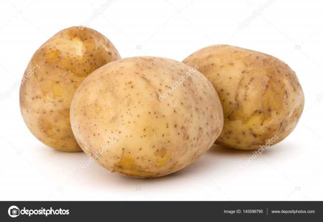 Продам: Картофель едовой, семенной