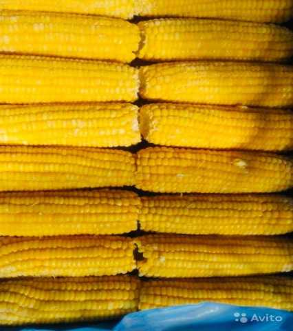 Предложение: Кукуруза для бизнеса