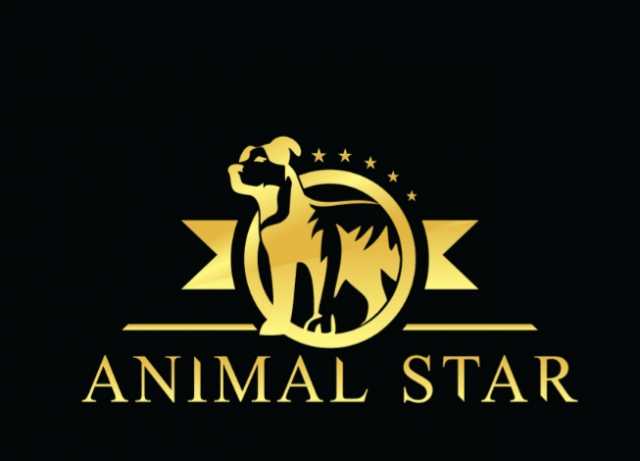 Предложение: Школа груминга AnimalStar Санкт-Петербур