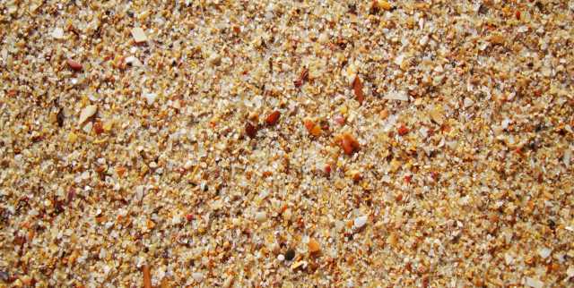 Продам: Песок морской с доставкой