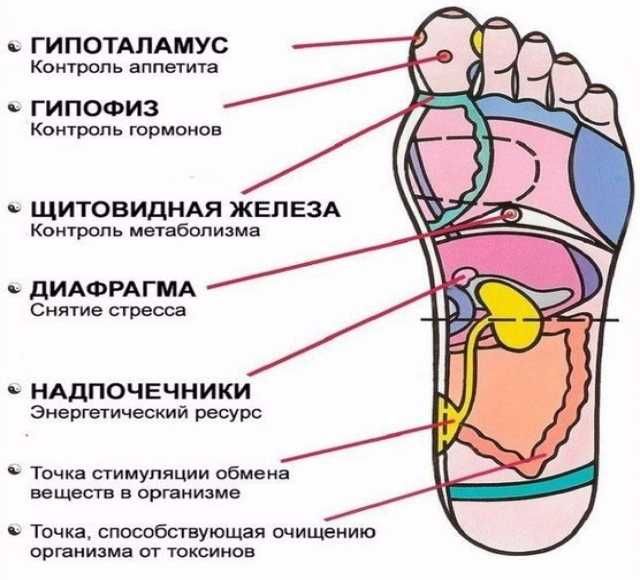 Предложение: Массаж классический