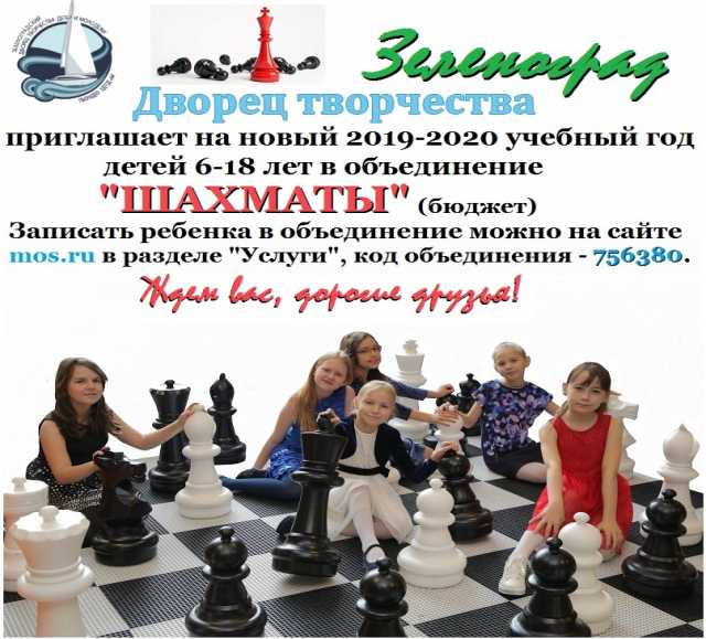 Предложение: Шахматы - бюджет