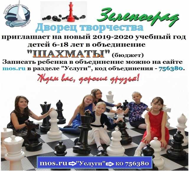 Предложение: шахматы - бюджет в Зеленограде