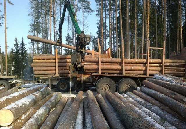 Продам: Строевой лес на сруб с погрузкой на тран