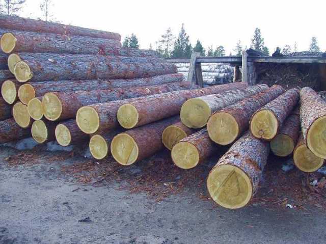 Продам: Строевой лес для сруба отборный любой дл