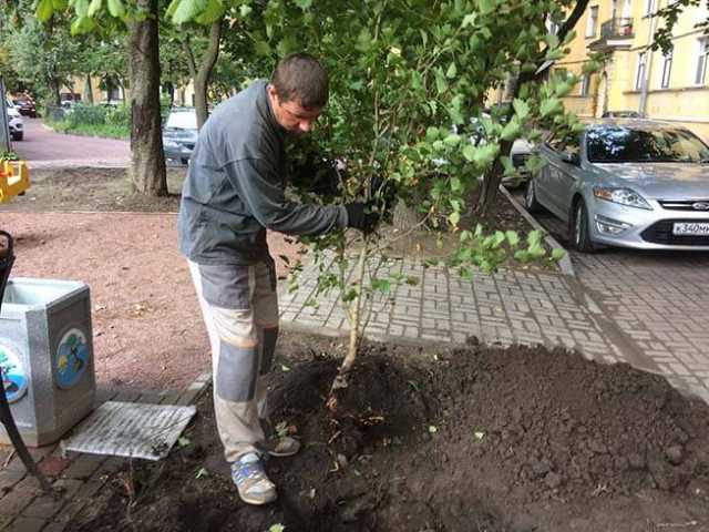 Предложение: Услуги грузчика, подсобного рабочего