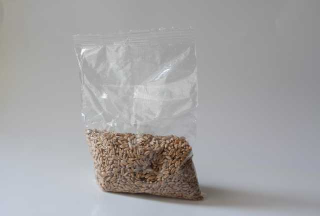 Продам: Пшеница для проращивания и варки 50 гр