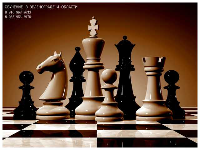 Предложение: Обучение шахматам и шашкам. Зеленоград