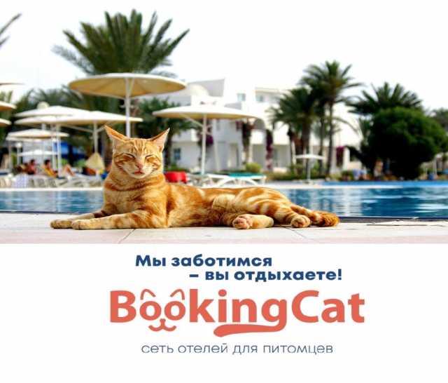 Предложение: Гостиница для животных BookingCat