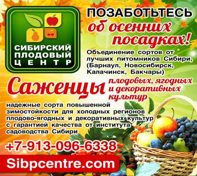 Продам: Саженцы плодовых, ягодных и декоративных