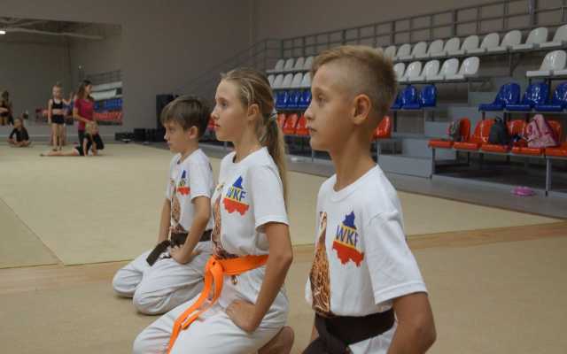 Предложение: Карате спорт для детей Ростов Западный