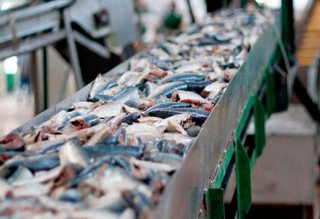 Продам: Линия для производства рыбных консервов