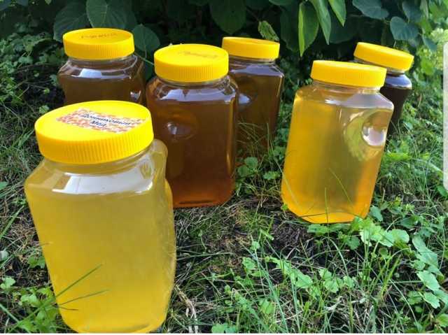 Продам: Мёд с экологически чистого района Алтайс