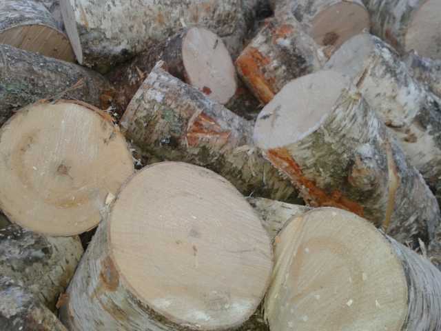 Продам: Березовые дрова в чурках, с доставкой