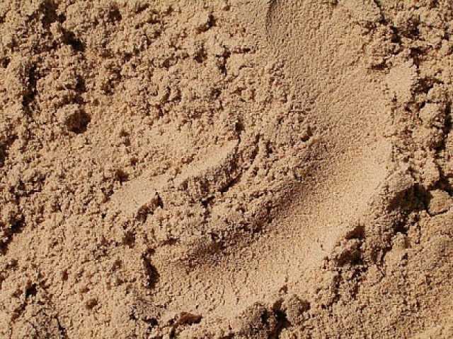 Продам: Песок мытый I класс фракции 0-2;0-3;0-4;
