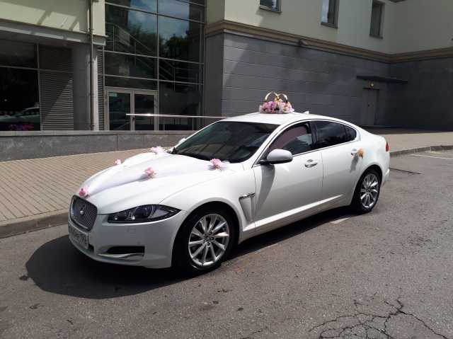 Предложение: Ягуар XF авто с водителем на свадьбу
