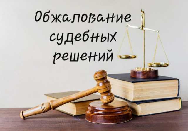 Предложение: Обжалование судебных актов