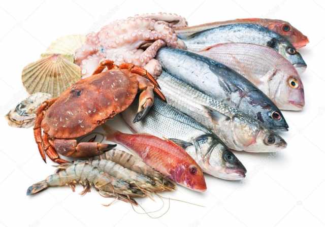 Продам: Оптовая продажа рыбы и морепродуктов