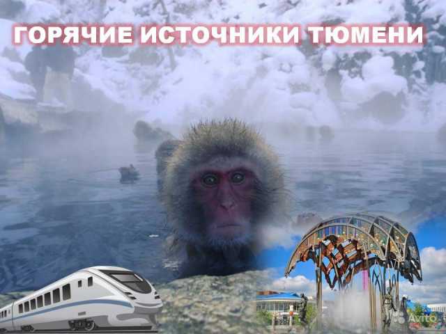 Предложение: 22.11.19Тепло Тюмени+гор.источникЦО037