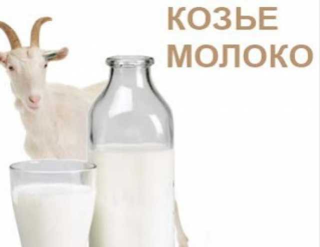 Продам: Козье молоко