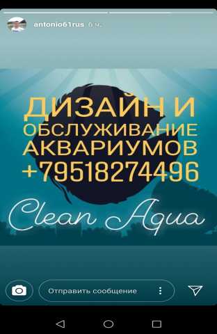 Предложение: Обслуживание аквариума, чистка, дизайн