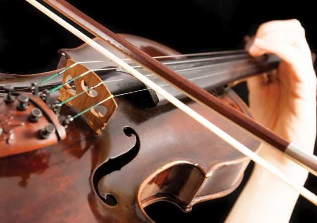 Предложение: Уроки Скрипки, теории музыки (этм, Гармо