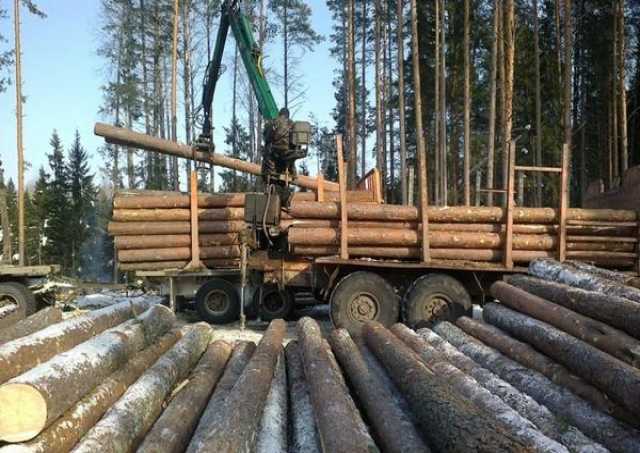 Продам: Строевой лес на сруб с погрузкой