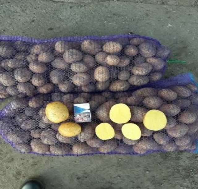 Продам: Картофель Гала, продовольственный и семе