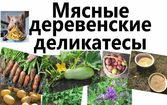 Продам: Натуральное деревенское настоящее мясо