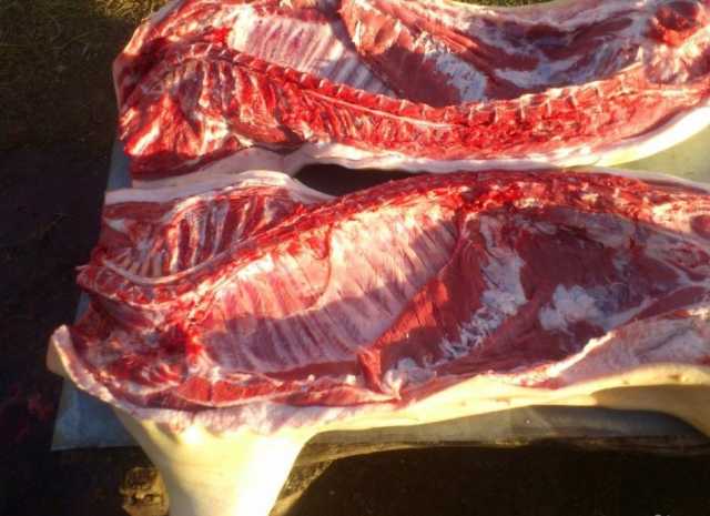 Продам: домашнее мясо свинины,деревенское