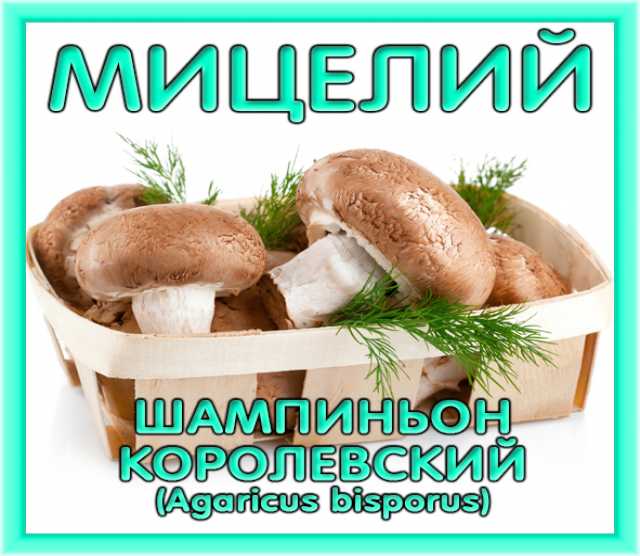 Продам: Мицелий шампиньонов