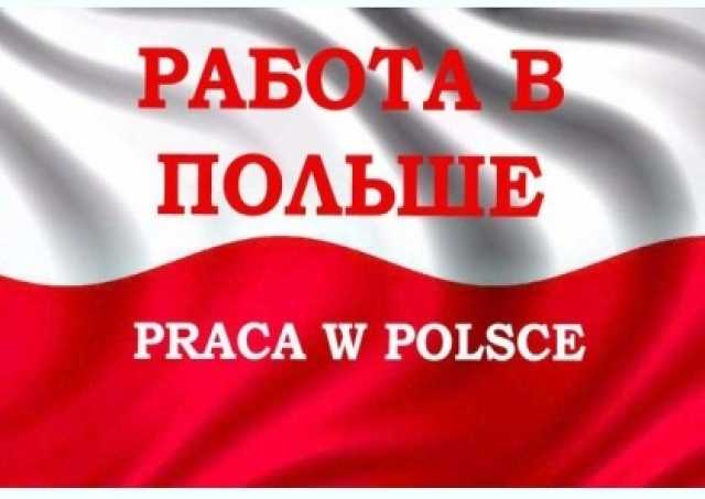 Вакансия: Как отыскать работу в Польше