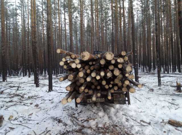 Продам: Сухие дрова