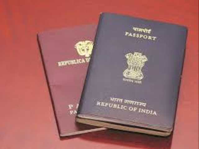 Предложение: What do you mean by India business visa?