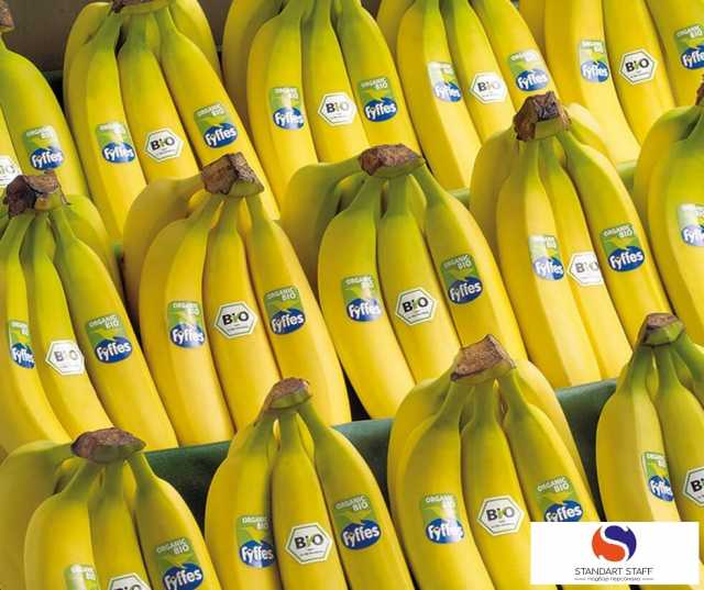 Требуется: Упаковщики бананов