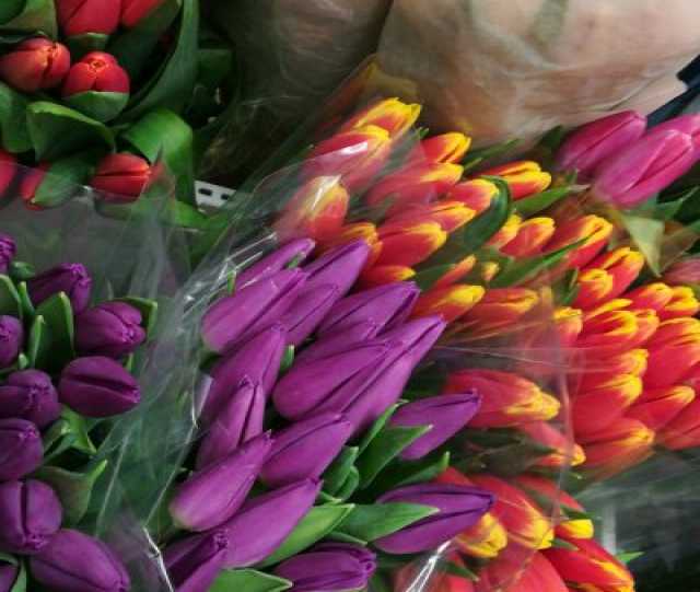 Продам: Тюльпаны розы к празднику опт и розница