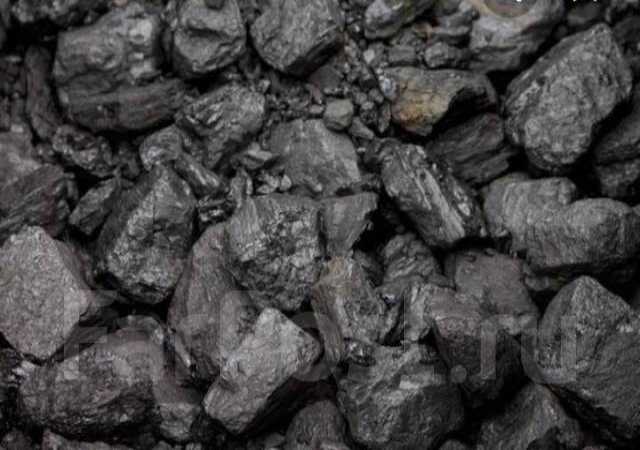 Продам: Древесный уголь