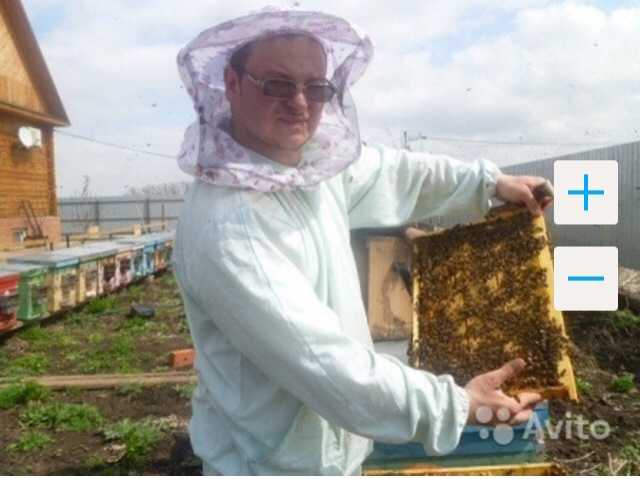Продам: Пчелопакеты пчелы пчелосемьи карника