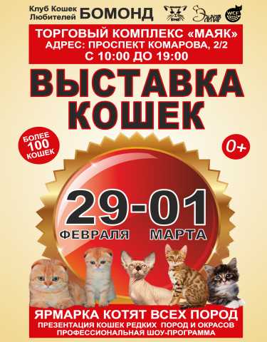 Продам: Выставка кошек 29 февраля и 1марта