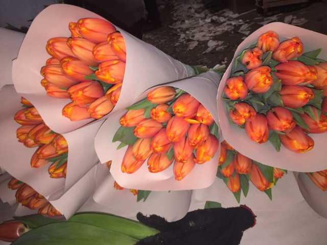 Продам: Тюльпаны оптом к 8 марта 2020