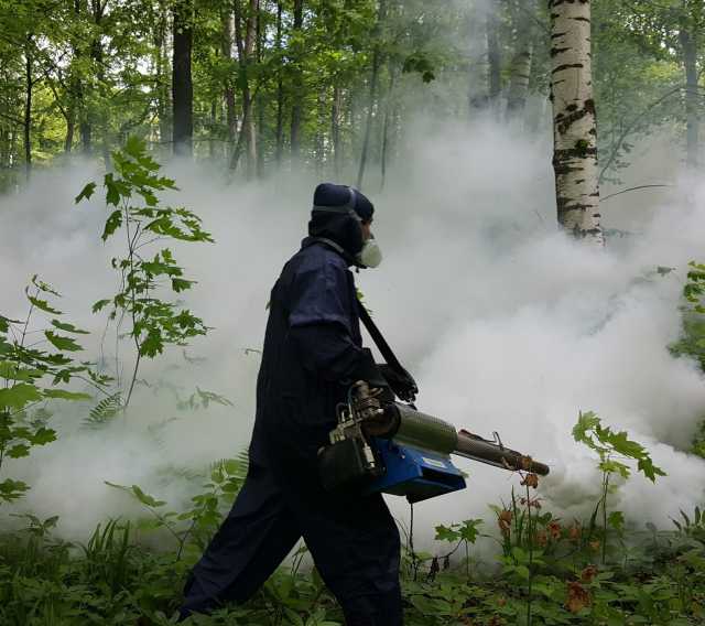 Предложение: Обработка от комаров в Орехово-Зуево