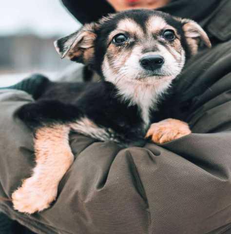 Отдам даром Мама, я танцую!!!