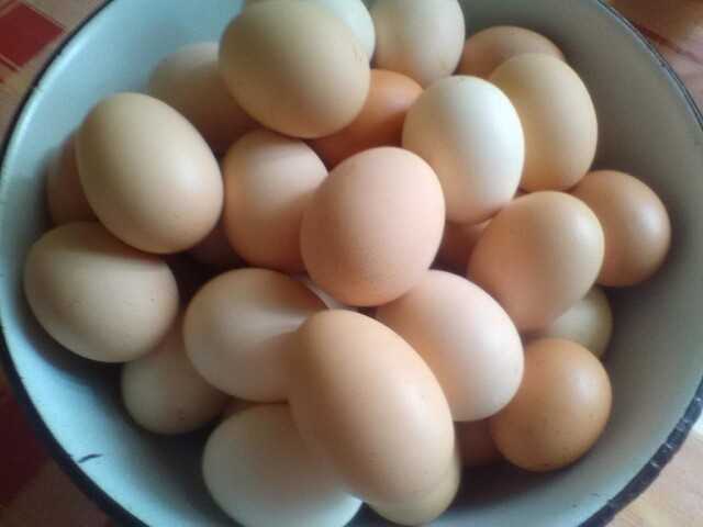 Продам: яйца домашних курочек