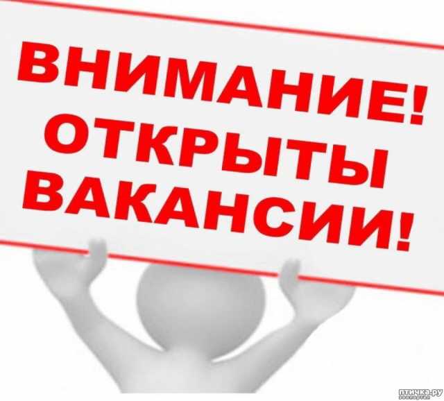 Вакансия: Подработка в интернете! (Менеджер)