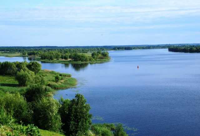 Продам: Прекрасный участок на берегу р. Волга