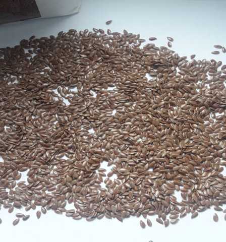 Продам: Семена льна коричневого