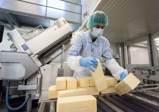 Вакансия: Упаковщики сырной продукции (вахта)