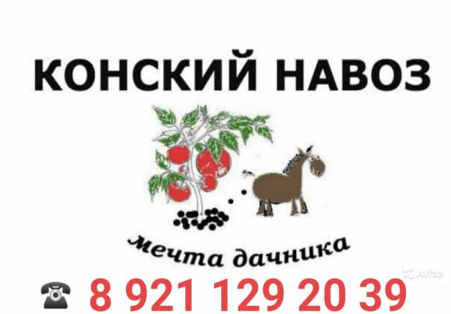 Продам: Навоз конский